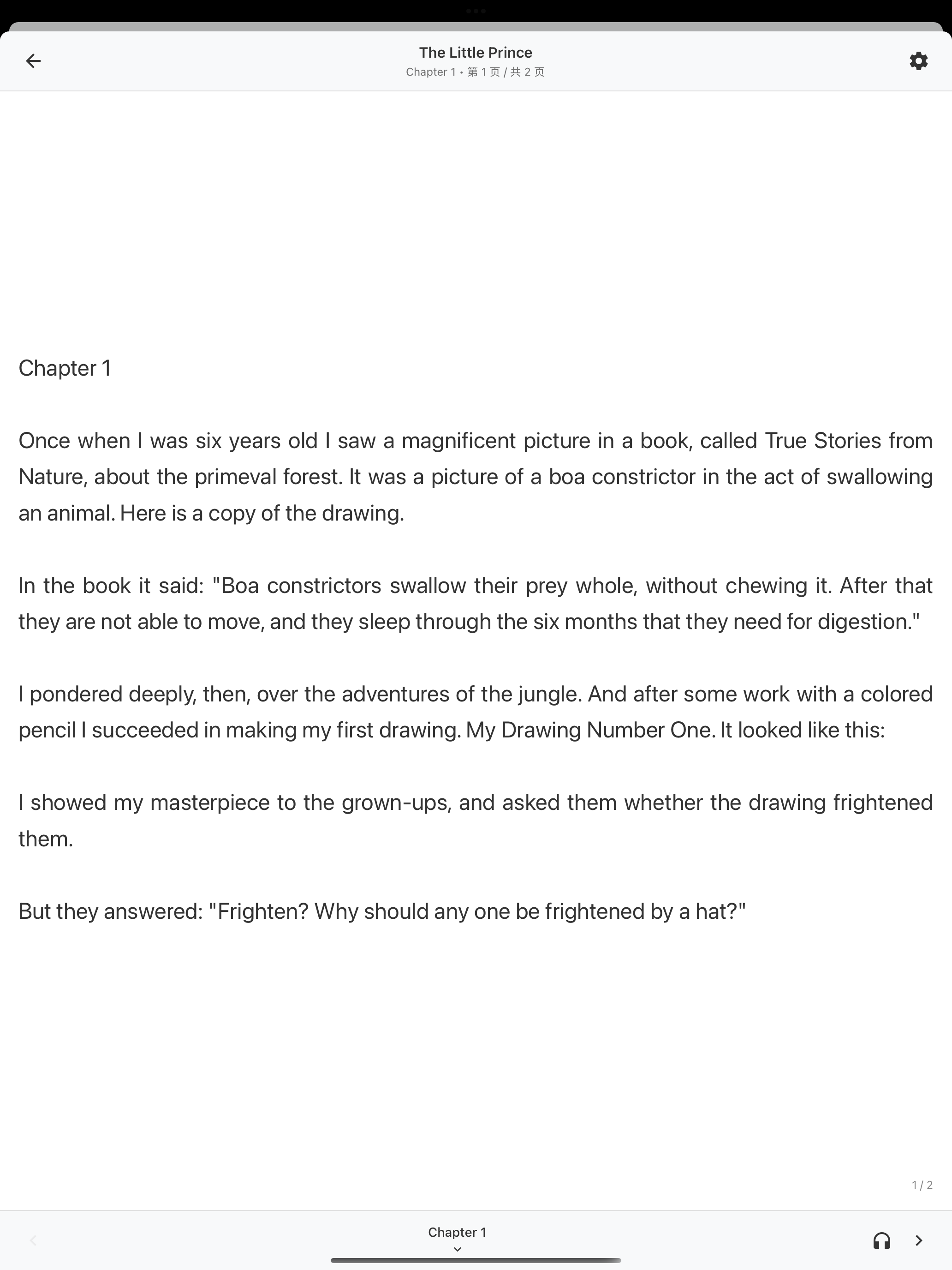 Reading Experience on iPad